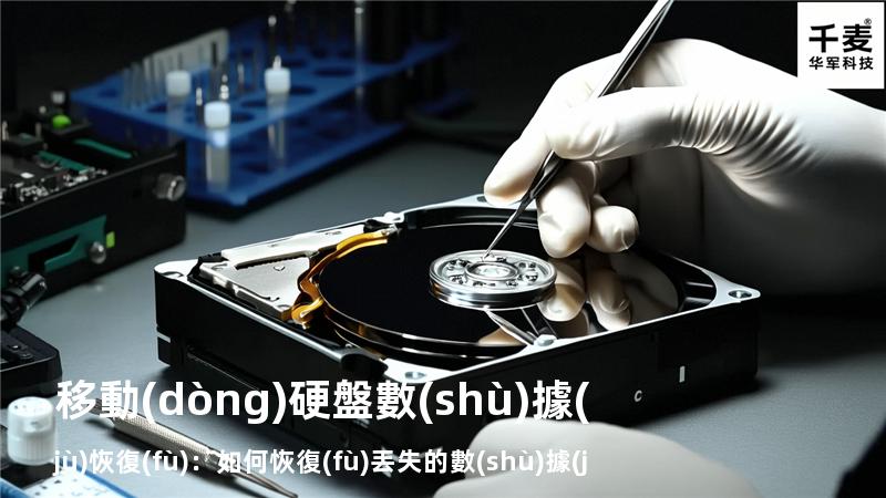 移動(dòng)硬盤數(shù)據(jù)恢復(fù)：如何恢復(fù)丟失的數(shù)據(jù)，找回重要文件